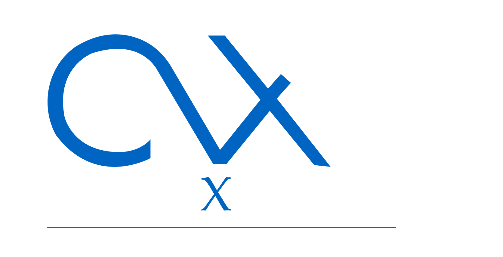 Code X Designs – digital solutions company